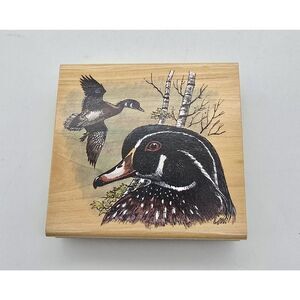 STAMPA ROSA RUBBER STAMP Ducks 300-41 Wood Duck New Michaelsen 1999